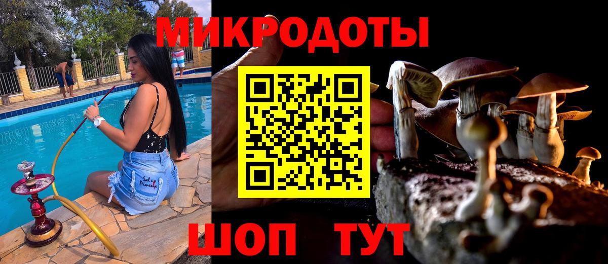 Галлюциногенные грибы Magic Shrooms  Вход с VPN  Новотроицк 